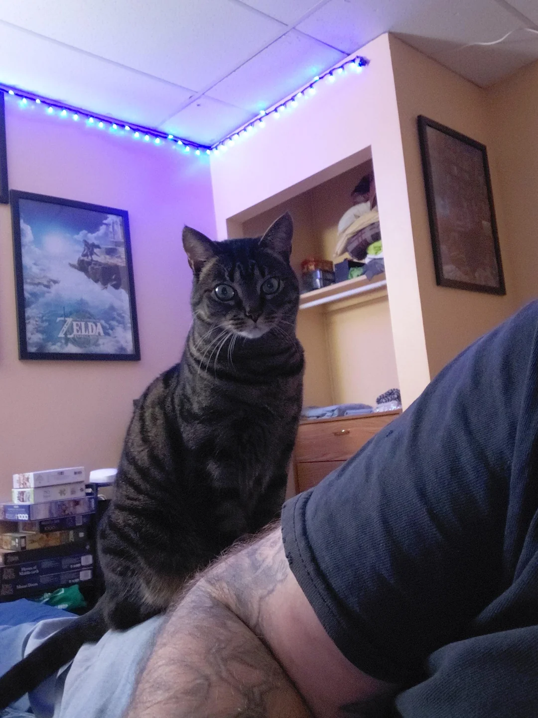 Cat 21